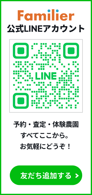 ファミリエ公式LINEはこちら