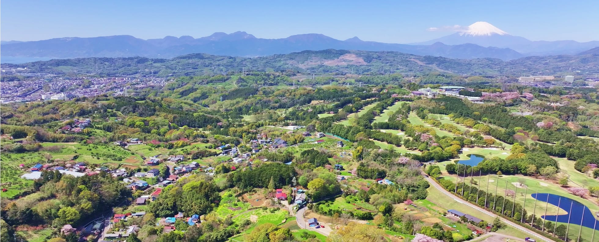 大磯の里山の風景